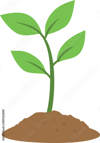 A simple illustration depicts a young plant sprouting from fertile soil high quality