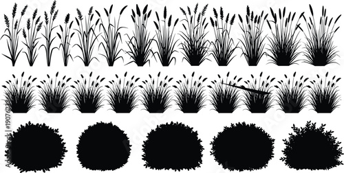 Collection of black ornamental grass silhouettes, wild reeds, and garden shrubs, cad drawing flat vector illustration for landscape design, various.