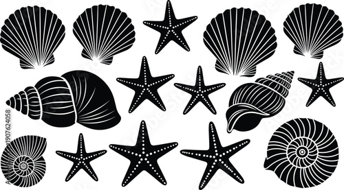 Collection of black seashell and starfish silhouettes isolated on white background, cad drawing flat vector illustration for summer nautical design.
