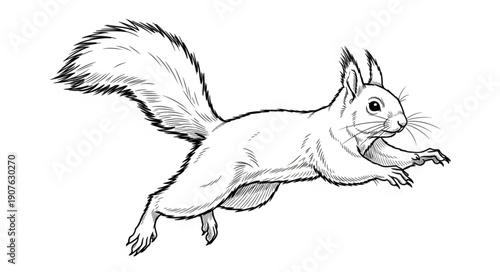 Sketch of a running squirrel with a bushy tail.
