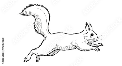 Sketch of a running squirrel with a bushy tail.