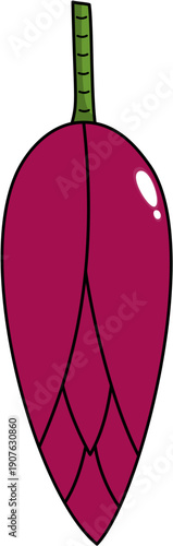 Illustration of a Banana Blossom