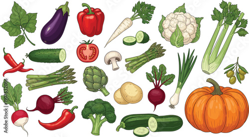 Large set of hand drawn garden vegetables featuring pumpkin broccoli bell pepper tomato and eggplant for organic food vector illustration