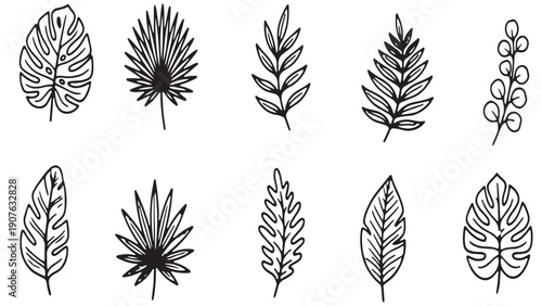 Botanical leaf illustration set for natural product packaging, organic brand identity, eco-friendly design projects, herbal wellness materials, and sustainable lifestyle graphics