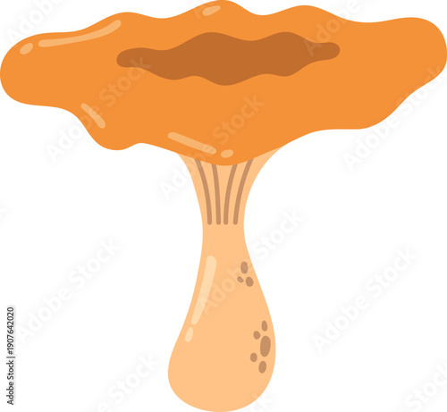 Wild Orange Mushroom in Autumn Season