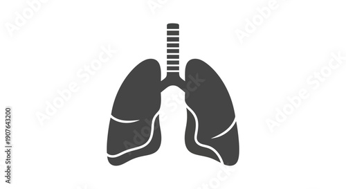 An illustration of healthy human lungs, representing respiration and vital organs
