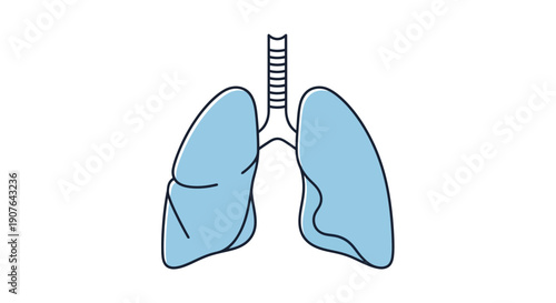 Simplified graphic illustration of the human respiratory system, showcasing healthy lungs and trachea in a clear, educational medical diagram with light blue coloring