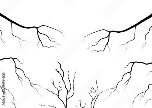 Abstract Bare Branches and Roots Outline