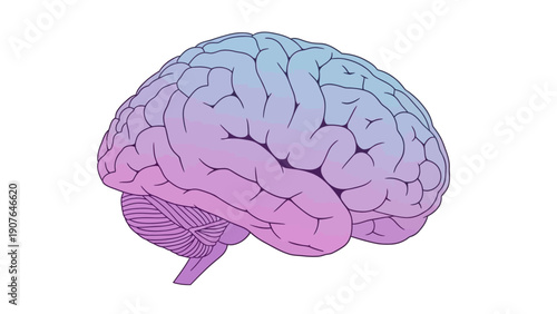 An illustration of a human brain viewed from the side, showcasing its intricate details and colorful representation, imagefx_f3i6cw_via_RJ_ImageFX_Auto.eps