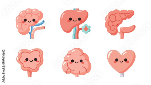Illustration of human organs with smiling faces, including kidney, liver, and heart, in a clean environment from a straightforward viewpoint, file reference imagefx_gbfuxe_via_RJ_ImageFX_Auto.eps