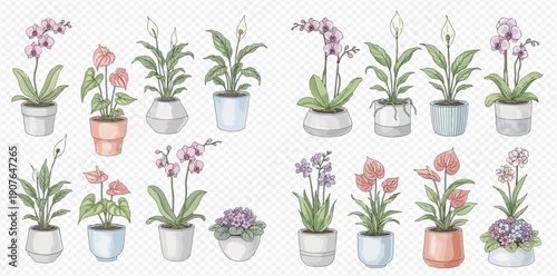 Watercolor illustration set of various potted houseplants including orchids, peace lilies, and anthuriums for home decor.