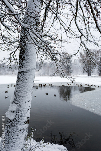 Winter lake
