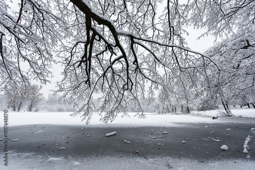 Frozen branches