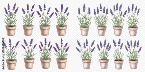 Watercolor illustration of potted lavender plants, perfect for botanical designs and aromatherapy themes.