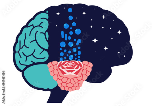 stylized brain illustration showcases melatonin production highlighting the connection to the suprachiasmatic nucleus  A vibrant night-themed visual for sleep wellness and circadian rhythm concepts
