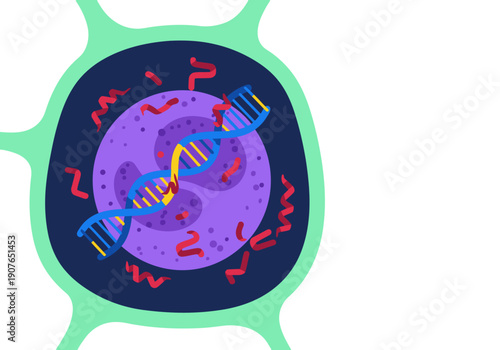 A stylized cell illustration showcases a molecular circadian gene clock, highlighting DNA and rhythmic activity. Vibrant colors and a modern design create a visually engaging concept.