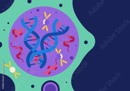 Visualize cellular clock mechanisms! This vibrant graphic showcases a molecular circadian gene clock within a cell, highlighting DNA and biological rhythms. Modern, illustrative style.