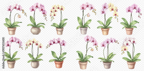 Watercolor set of various potted orchid plants with pink and yellow flowers, perfect for botanical designs and home decor.