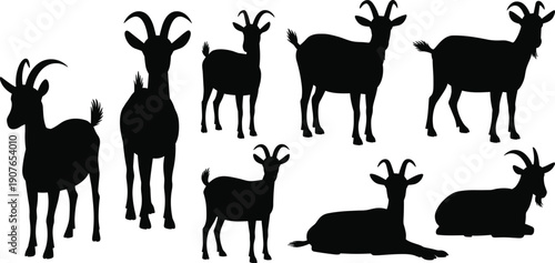 Black goat silhouette set isolated on white background showing standing, walking and resting poses, horned farm livestock animals, rural agriculture illustration collection
