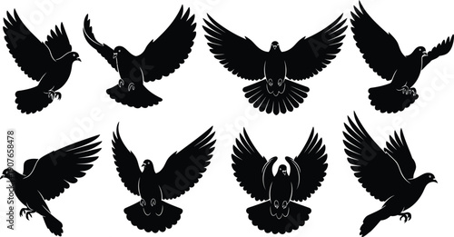 Collection of six skulls in silhouette and detailed illustration