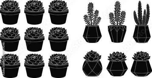 Succulent and cactus plants in pots collection, indoor houseplant set, decorative home gardening illustration, modern plant container design, vector isolated background