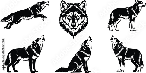 Wolf silhouette illustration set showing head logo, howling, standing, sitting poses, black and white wild animal design collection