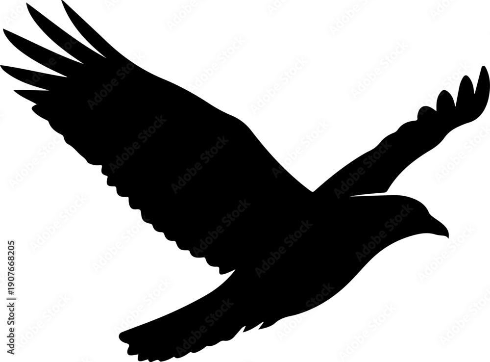 Fototapeta premium A big single bird silhouette vector illustration