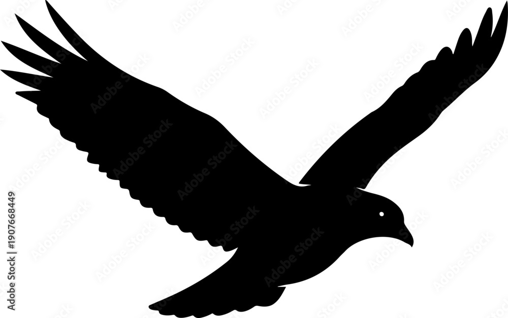 Fototapeta premium A big single bird silhouette vector illustration