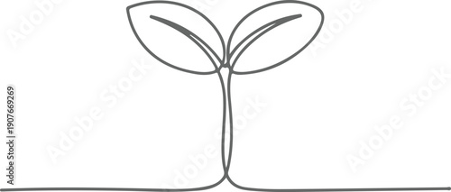 Simple line drawing of a small plant with two leaves sprouting from the ground. Vector, illustration