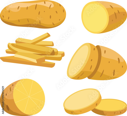 Fresh potato vector illustration set with whole sliced and chopped potatoes, flat style food design for cooking healthy nutrition concepts