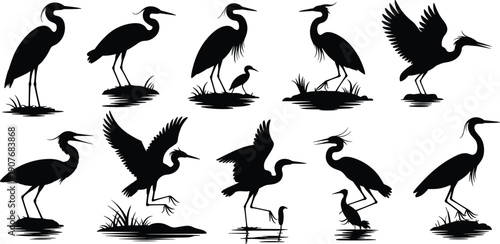 PrintHeron silhouettes, bird illustration, wildlife design, waterfowl vector, nature art, long neck, black icon, outdoor graphic, elegant posture