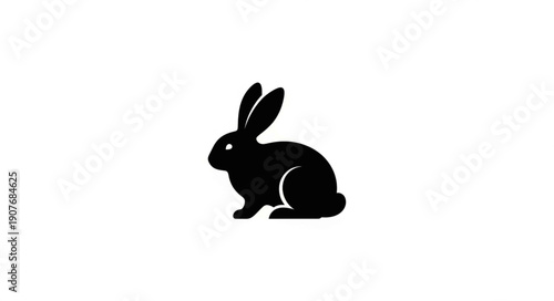 white rabbit isolated on white