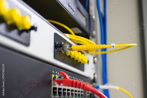 Ethernet cables plugged into network switch ports, showing wired internet connection, IT hardware and data communication equipment