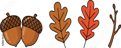 Autumn Acorn and Oak Leaf Vector Illustration Set with Brown Nuts Orange Foliage and Bare Tree Branch Isolated Element
