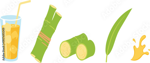 Sugarcane Stalk Juice Glass and Leaf Set Flat Vector Illustration Isolated on White Background