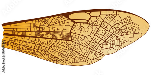 Detailed illustration of a dragonfly wing venation pattern resembling a city map