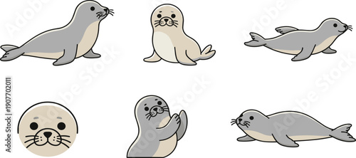 Cute Seal Vector Illustration Set Featuring Grey Marine Animals in Various Poses Including Swimming Sitting and Clapping Pack
