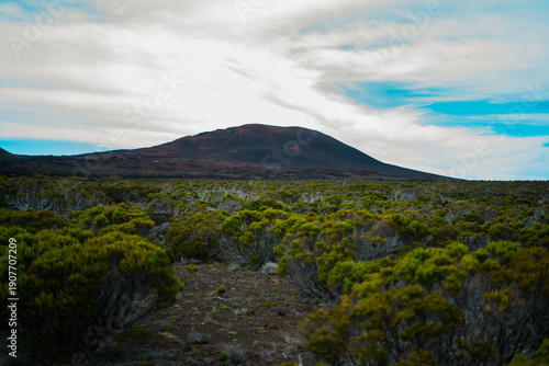 Paysage volcanique verdoyant du Piton de la Fournaise