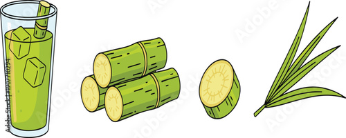 Fresh Sugarcane Juice Vector Illustration Set with Glass of Cold Drink Ice Cubes Sugarcane Stalks Slices and Green Leaves