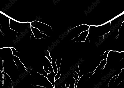 Abstract Lightning Branches on Black