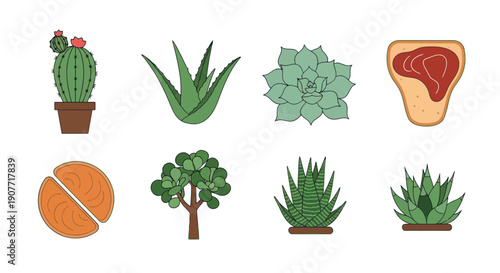 Eco friendly icons recycling solar and nature