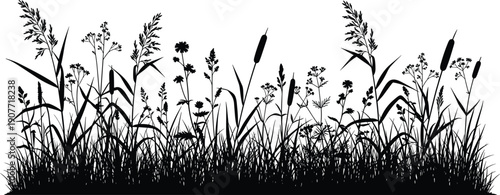 Collection of black wild meadow grass and field flower silhouettes isolated on white, cad drawing flat vector illustration for design.