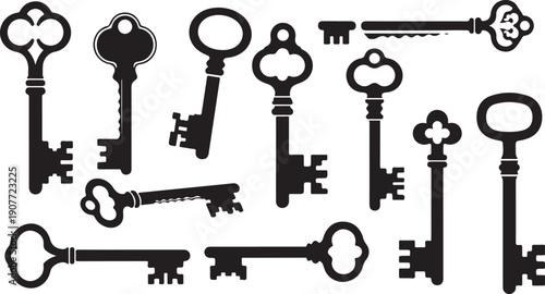 Collection of various old fashioned skeleton keys on white