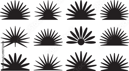 Collection of unique black spiky plant silhouettes on white background