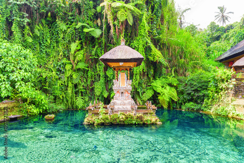 Wallpaper Mural Pond at a Hindu Balinese water temple in Bali, Indonesia Torontodigital.ca