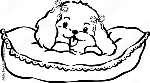 Cozy home cavoodle dog outline on pillow hand drawn