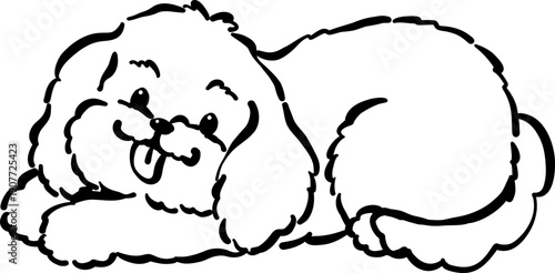 Cozy home happy cavoodle dog lying outline with tongue out hand drawn