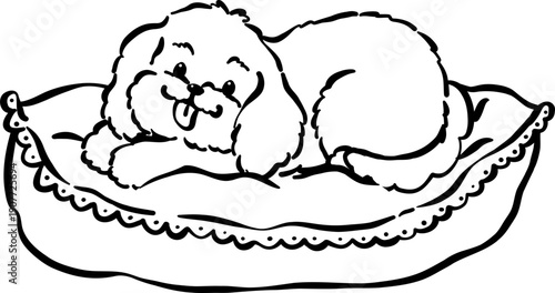 Cozy home happy cavoodle dog outline on pillow hand drawn