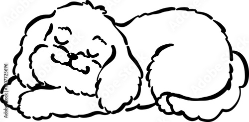 Cozy home happy cavoodle dog outline sleeping peacfully hand drawn