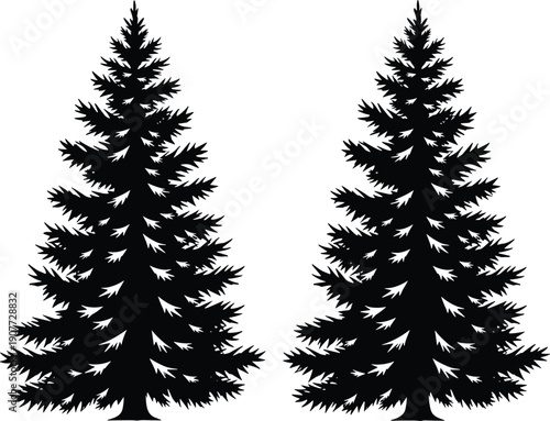 Evergreen pine tree silhouettes set, black forest conifer trees isolated on white background, natural winter landscape vector illustration design art